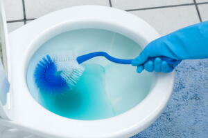 limpeza-vaso-sanitario-azul.jpg