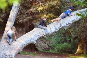 Hijos Brad y Angelina