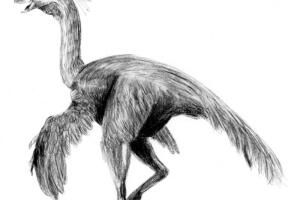 Anzu wyliei, el pollo del infierno