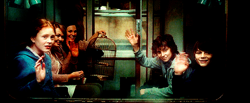 Albus Severus