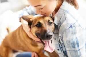 Cão feliz abraçado com sua dona