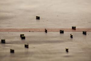 Imagen de archivo - Tiroteo