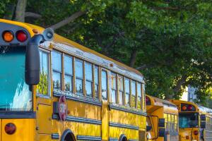 BUSES-4.jpg
