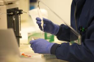 University Of Washington Medicine Tests Blood Of Recovered COVID-19 Patients For Antibodies