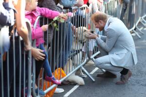 harry-meghan-sussex1.jpg