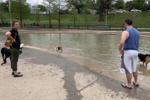 PERROS GALERIA/2-PERRO.jpg