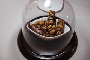 Kopi luwak