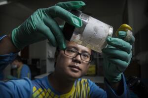 salud virus zika factoria china