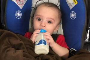 8-month-old King Jay