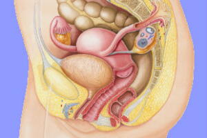 riscos-do-anticoncepcional-2.jpg