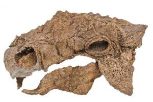 Imagen del Dinosaurio Zuul