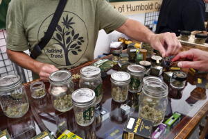 cannabis