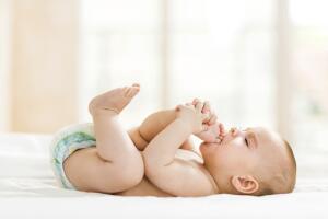 istock_000077473801_medium.jpg