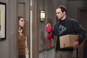 sheldon-amy-the-big-bang-theory-1