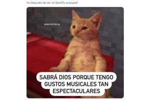 spotify-wrapped-2023-memes.png