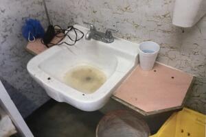 Mexicanos esclavos en el norte de California