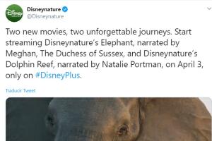 disney 1.jpg