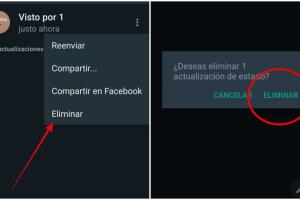 Collage WhatsApp 3.jpg