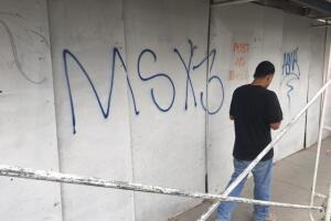 MS-13 parques Mara Salvatrucha