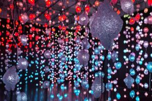 Museo de Bellas Artes.jpg