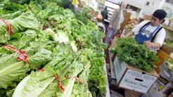 No comas lechuga romana: amplían alerta sanitaria por temor a contaminación con E. coli