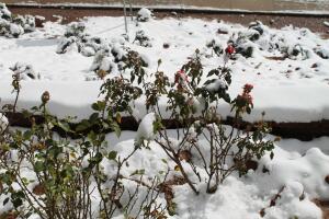 Sedona, un pequeño pueblo al norte de Arizona que se viste de blanco