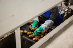 forcedlabor (28 of 42).jpg