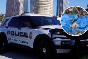 El cadáver hallado en manglares de Palmetto Beach podría estar vinculado a un joven mexicano desaparecido desde Navidad, según las autoridades.