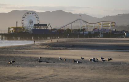 Otra de las populares playas cerradas en Los Ángeles es la de la cuidad de Santa Monica, un destino turístico que ahora solo disfrutan las gaviotas.