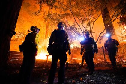 En Boulder Creek, bomberos intentan controlar las llamas que amenazan una vivienda. Estos complejos de incendios forestales que se iniciaron el 14 de agosto a causa de las 
<b><a href="https://www.univision.com/local/fresno-kftv/los-denominados-relampagos-secos-que-amenazan-con-causar-mas-incendios-en-california">tormentas eléctricas secas </a></b>han causado la 
<b><a href="https://www.univision.com/noticias/estados-unidos/incendios-de-california-mas-de-1-millon-de-acres-quemados-y-al-menos-250-000-evacuados">muerte de siete personas. </a></b>
<br>Lamentablemente, las víctimas fatales de los incendios suman más de 300 en los últimos 80 ańos, según 
<b><b><a href="https://www.fire.ca.gov/media/5512/top20_deadliest.pdf" target="_blank">CAL Fire.</a></b></b>
<br>
<b>y estos son los más mortales.</b>