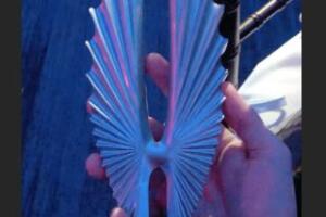 Aristemo gana Premio GLAAD 