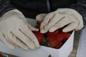 Virus Outbreak California