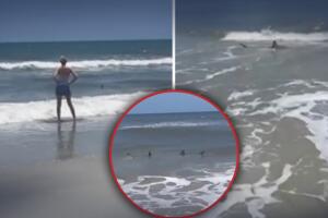 Tiburones aparecen a metros de distancia de bañistas 