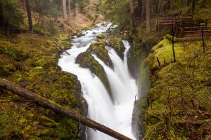 Parques Nacionales para no perderse