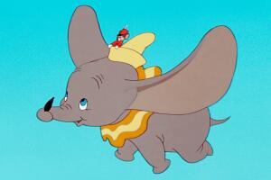 dumbo.jpg