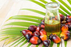 oleo-de-palma-1400x800-1017.jpg