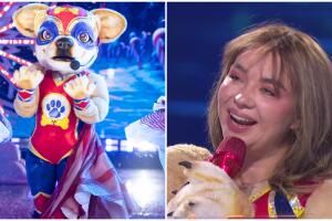 QELM 2024: gran final