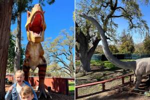 Safari Dinosaurio.jpg