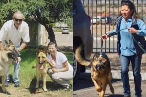 ¿Dónde están las mascotas de Gene Hackman y Betsy Arakawa tras su trágica muerte?