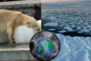 Una reciente investigación científica alerta sobre el impacto del 'hielo de fuego'.