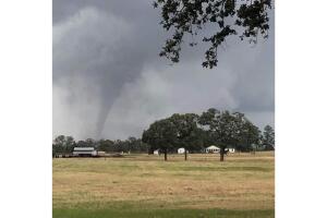 Sulphur Springs-Blanca-Brena.jpeg