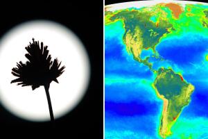Existen diferentes teorías sobre cómo se originó la vida en la Tierra