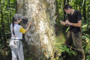 Selva amazónica