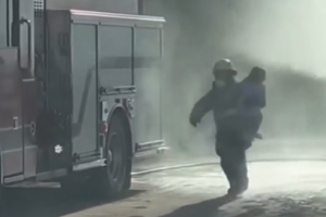 Picadura abeja Arizona