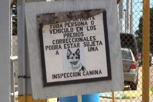 Guerrero4.JPG
