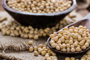 vegetais-ricos-em-proteinas-2.jpg