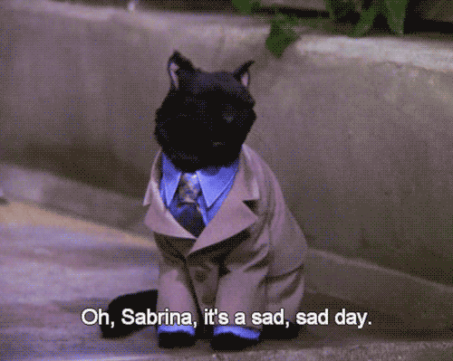 razones_por_las_que_amamos_a_salem_6.gif