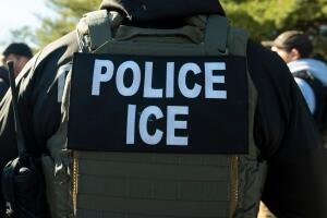 exoficial ICE culpable lavado de dinero