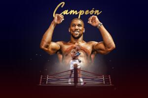 Andy Ruiz vs. Anthony Joshua