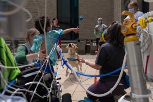 Children's Hospitals Dogs